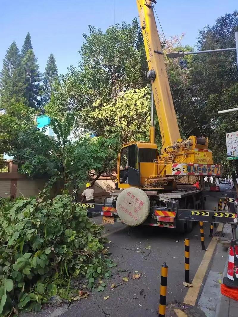 綠化修剪2